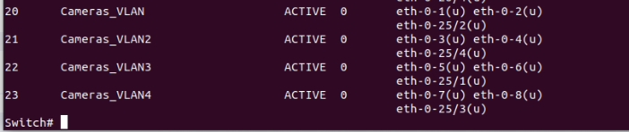 vlan_commands_show.png